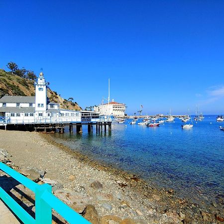 Lux Oceanfront Villa With Breathtaking Views 아발론 외부 사진