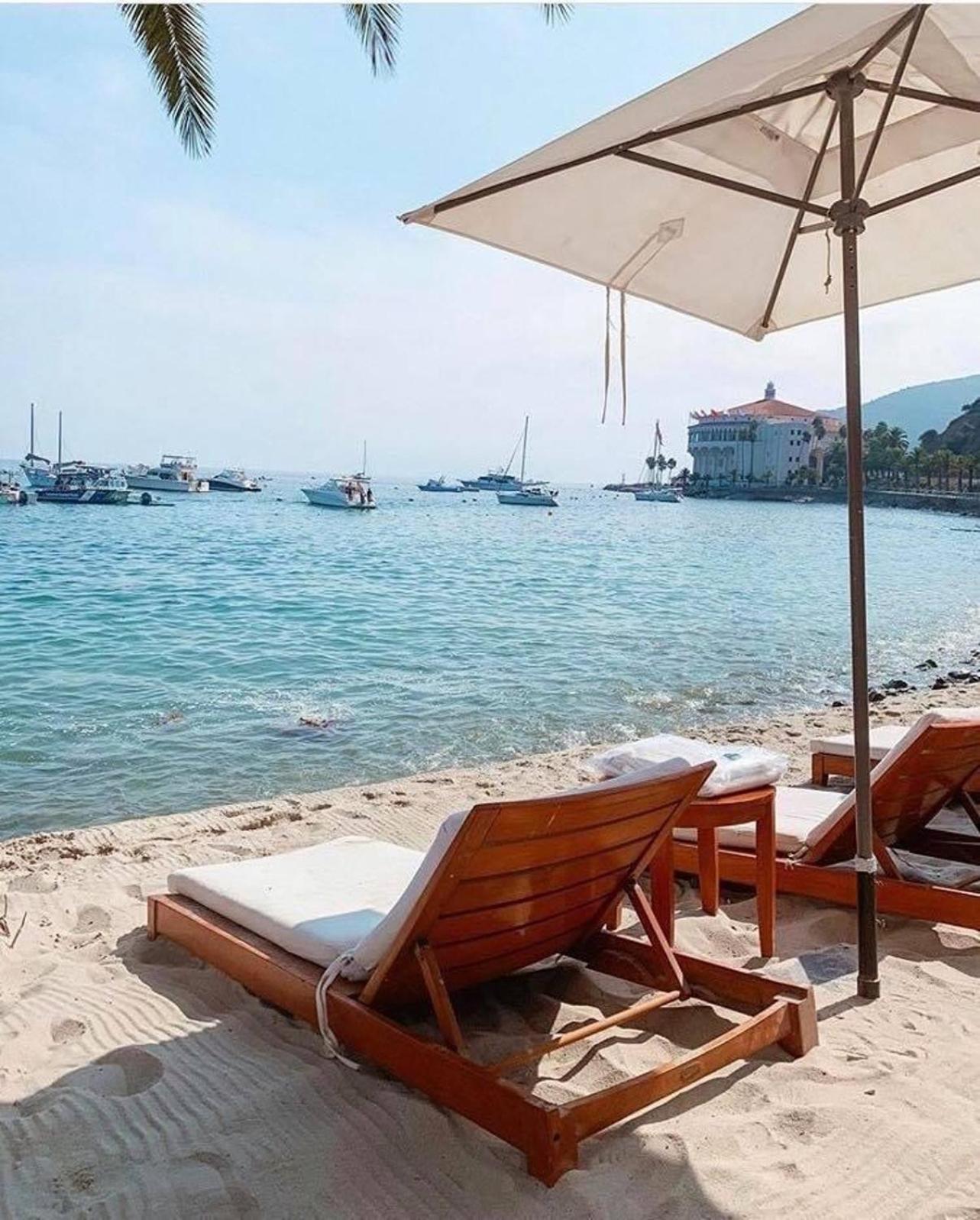 Lux Oceanfront Villa With Breathtaking Views 아발론 외부 사진