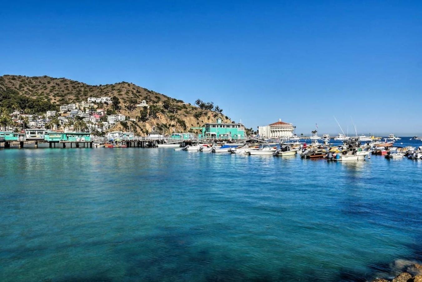 Lux Oceanfront Villa With Breathtaking Views 아발론 외부 사진